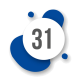 31-icon